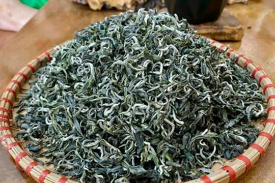 Chè Lai Châu - 3 loại chè đặc sắc vừa được cấp chỉ dẫn địa lý