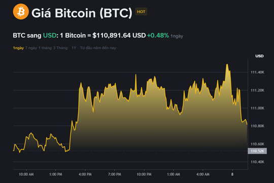Giá Bitcoin hôm nay 8.9: Phục hồi nhẹ, chuyên gia cảnh báo nguy cơ giảm về 100.000 USD