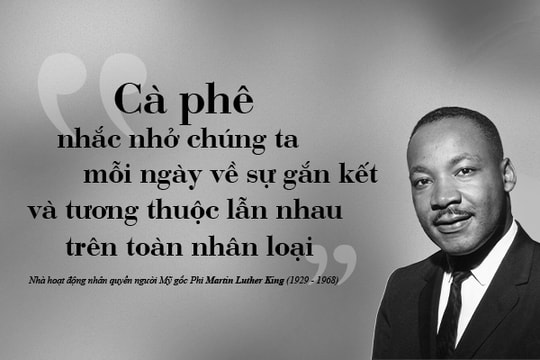 Kỳ 113: Nông nghiệp sinh thái trong sự phát triển bền vững của ngành cà phê toàn cầu