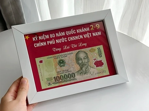 Chưa nhận được 100.000 đồng Tết Độc lập qua VNeID, người dân phải làm gì?