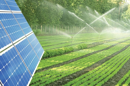 Báo nước ngoài viết về dự án Agri-PV của Việt Nam