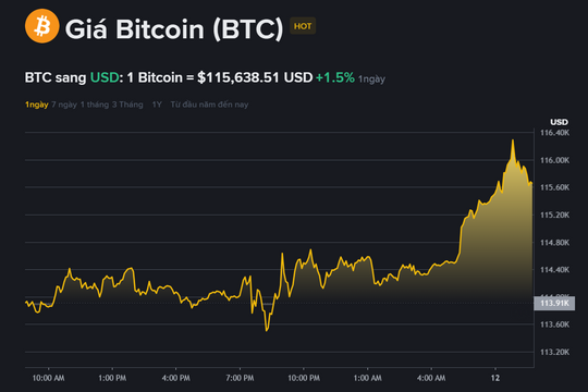 Giá Bitcoin hôm nay (12.9): Chạm 116.000 USD nhờ dữ liệu CPI, nhà đầu tư chia rẽ về xu hướng tiếp theo