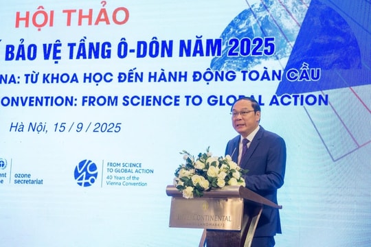 Hành trình loại bỏ 240 triệu tấn CO₂ tương đương của Việt Nam