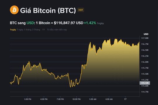 Giá Bitcoin hôm nay 17.9: Tăng nhẹ khi thị trường dõi theo quyết định lãi suất của Fed