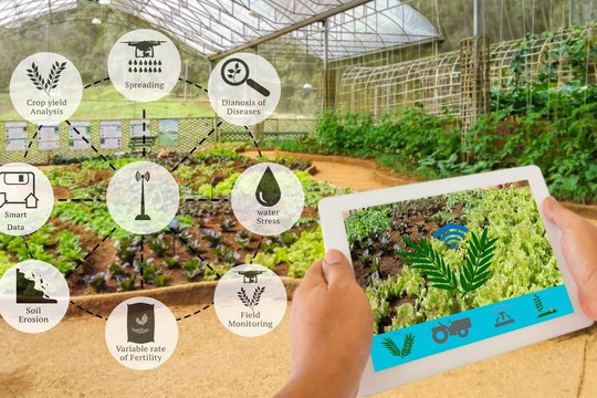 AI Hàn Quốc tìm cơ hội phát triển trong nông nghiệp Việt Nam