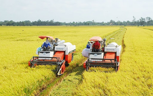 ĐBSCL trước cơ hội vẽ lại bức tranh nông nghiệp toàn vùng