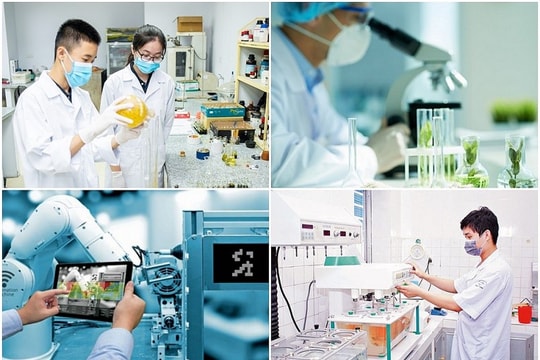 Thay đổi nhân sự cấp cao trong Ban Chỉ đạo phát triển KH-CN, đổi mới sáng tạo, chuyển đổi số