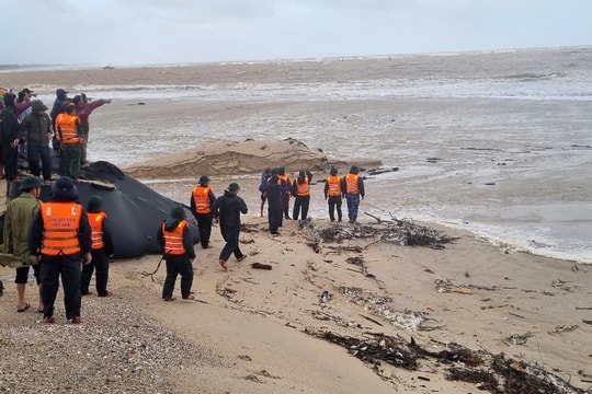 Hai tàu cá gặp nạn ở Cửa Việt khi trú bão, 3 người mất tích