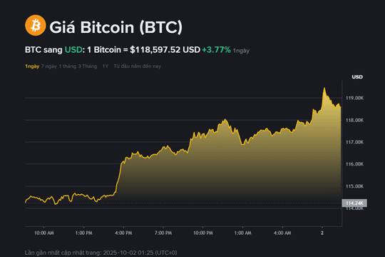 Giá Bitcoin hôm nay (2.10): Tăng mạnh vượt mốc 118.000 USD