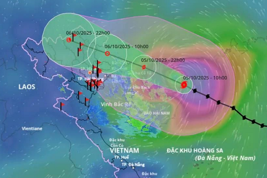 Bão số 11 đổ bộ Quảng Ninh đêm nay: Mưa lũ nguy hiểm, theo dõi Trung Quốc xả lũ