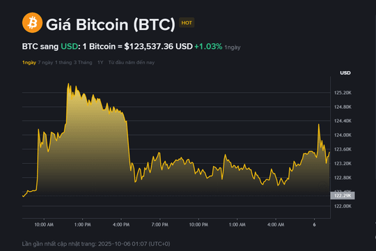 Giá Bitcoin hôm nay (6.10): Điều chỉnh nhẹ sau khi đạt đỉnh lịch sử
