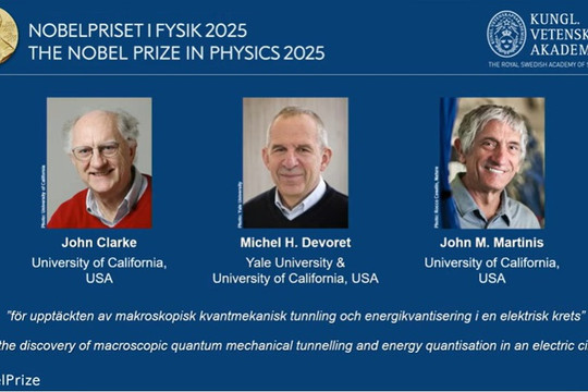 Vì sao trí tuệ nhân tạo vắng bóng trong giải Nobel 2025?