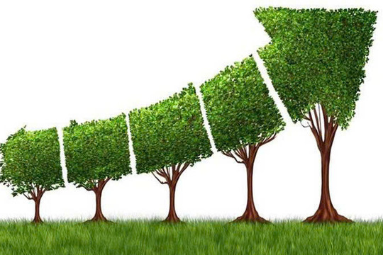 Tăng trưởng năm 2025 tăng 8,5%: Mục tiêu trong tầm tay hay kỳ vọng quá cao?