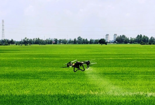 An Giang: Hơn 600 drone “cất cánh” trên đồng ruộng, mở đường cho nông nghiệp số