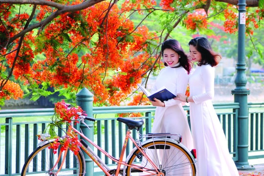 Tác giả 'Thời hoa đỏ' đi xa để lại mùa nhớ