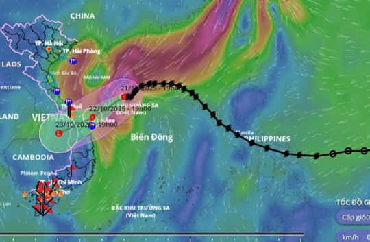 Thời tiết hôm nay 22.10: Bão số 12 đổ bộ miền Trung, nhiều nơi cho học sinh nghỉ học