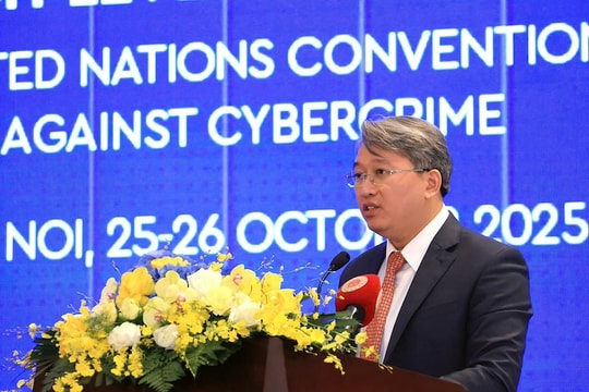 8,5 triệu tài khoản cá nhân ở Việt Nam bị đánh cắp trong nửa đầu 2025