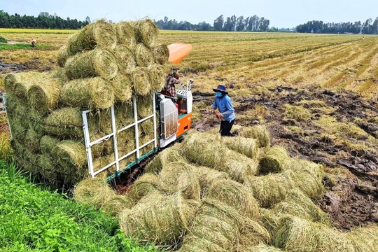 Bước khởi đầu cho nông nghiệp tuần hoàn ở ĐBSCL