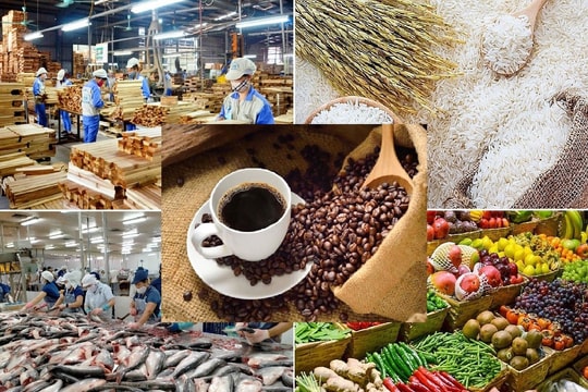 Vướng mắc thuế GTGT khiến doanh nghiệp nông sản 'đuối sức'