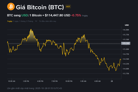 Giá Bitcoin hôm nay 28.10: Bật lên 116.000 USD, niềm tin dần trở lại