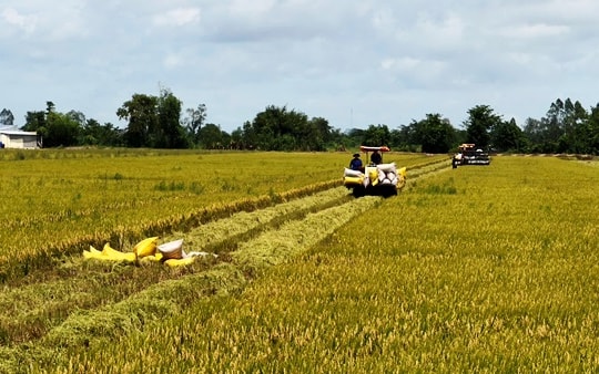 Khuyến nông là ‘cầu nối’ đưa khoa học đến ruộng đồng