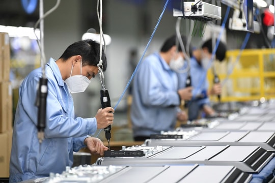 Tháng 10, số doanh nghiệp thành lập mới gấp 3 số tạm ngừng hoạt động