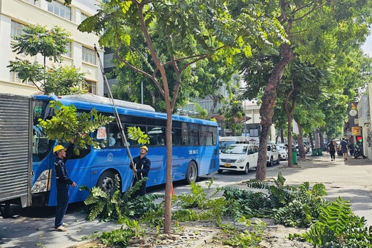 TP.HCM chủ động di dời dân ở khu vực nguy hiểm trước bão số 13