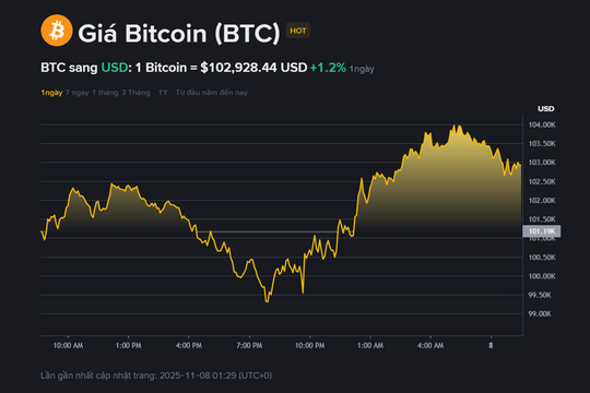 Giá Bitcoin hôm nay 8.11: Tăng trên 102.000 USD, vẫn nghiêng về xu hướng giảm