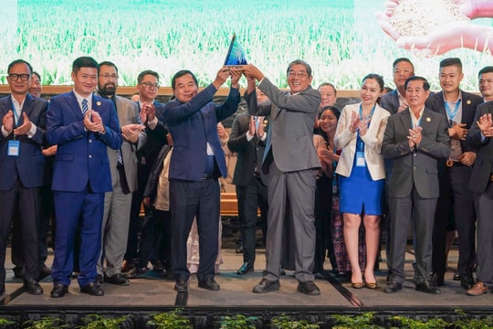 Gạo Ông Cua ST25 tiếp tục được vinh danh ‘Gạo ngon nhất thế giới’ năm 2025