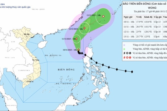 Bão số 14 Fung-Wong đổi hướng, nhiều tỉnh thành chủ động ứng phó