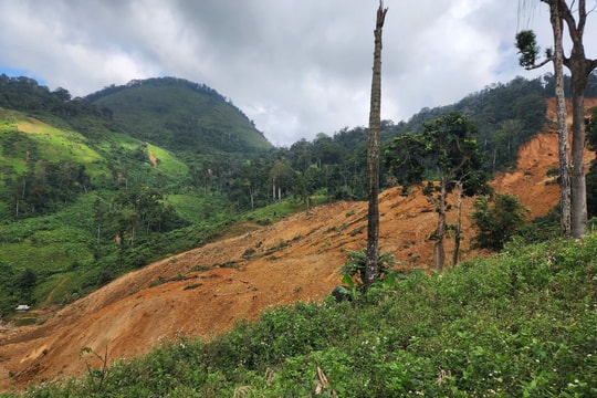 Ba người dân bị vùi lấp do sạt lở núi nghiêm trọng tại Đà Nẵng