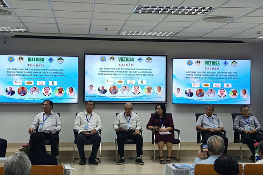 Chế phẩm sinh học cho sản xuất lúa: Sản lượng nhỏ, chất lượng thấp