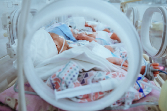 ‘Chiến binh tí hon’: Nghị lực phi thường của trẻ sinh cực non