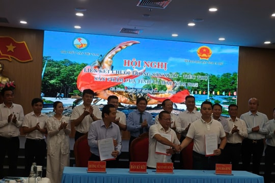 Chuyển đổi số và xây dựng chuỗi liên kết phát triển cua Cà Mau