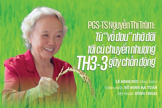 PGS-TS Nguyễn Thị Trâm: Từ “vố đau” nhớ đời tới cú chuyển nhượng TH3-3 gây chấn động
