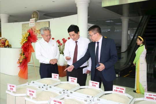 Rơm rạ trở thành 'mỏ vàng' kinh tế xanh của ĐBSCL