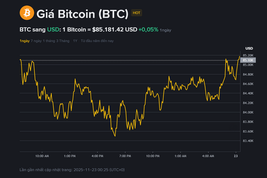 Giá BTC hôm nay 23.11: Đi ngang quanh 85.000 USD, nhà đầu tư lâu năm đồng loạt thoái lui