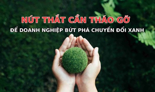 Bối cảnh Việt Nam trong chuyển đổi xanh