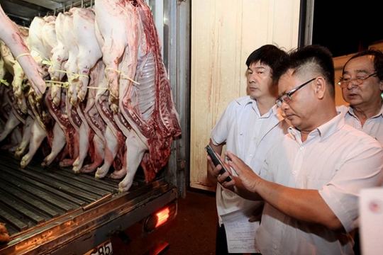 TP.HCM: Hơn 135 nghìn con heo lọt lưới truy xuất, báo động ATTP
