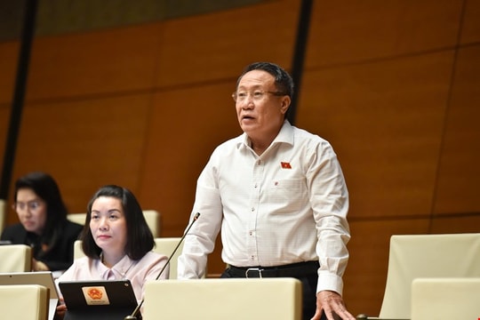 'Ưu đãi lớn mà không chuyển giao công nghệ thì Việt Nam chỉ làm công xưởng'