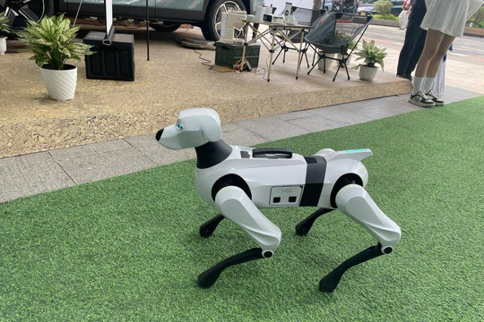 Video màn trình diễn của chó robot giữa phố đi bộ thu hút người xem