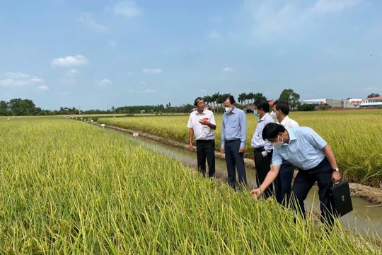 Lời giải hấp dẫn nhất đối với nông dân là hiệu quả kinh tế
