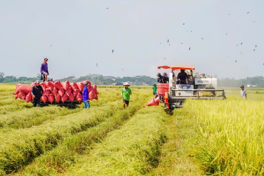 ĐBSCL: Phát triển hài hòa, bảo tồn đa dạng sinh học bằng cách nào?
