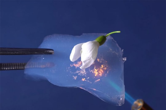 Giải mã Aerogel: Cuộc cách mạng vật liệu từ rác thải nhựa và nông nghiệp