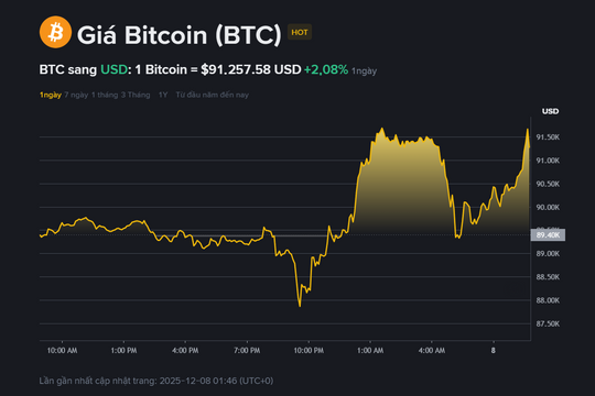 Giá Bitcoin hôm nay 8.12: Phục hồi trên 91.000 USD, tâm lý thị trường vẫn thận trọng
