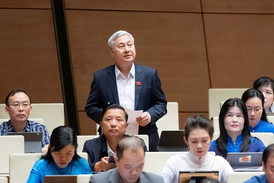 Cần khẩn cấp 'cứu' phân bón, bảo vệ hộ kinh doanh yếu thế trong Luật VAT