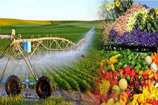 Thừa nhận của Bộ trưởng Bộ Tài chính