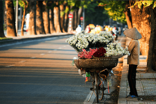 Thời tiết hôm nay 19.12: Hà Nội rét, nắng hanh xen sương mù dày đặc