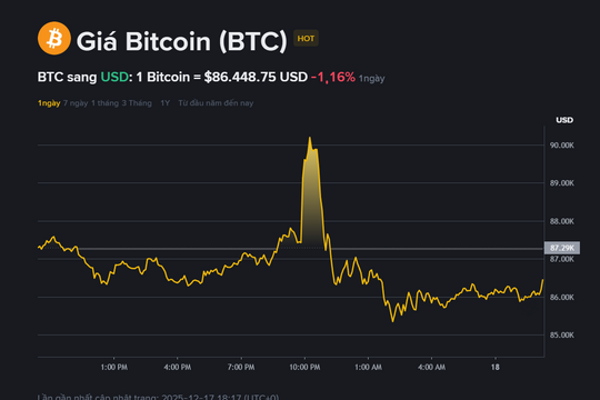 Giá Bitcoin hôm nay 18.12 có thể giảm về 70.000 USD - tín hiệu bước vào 'mùa đông crypto'?
