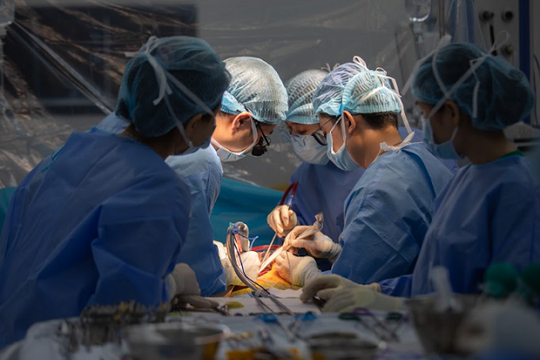 Kỳ tích ghép gan cứu bệnh nhân nguy kịch